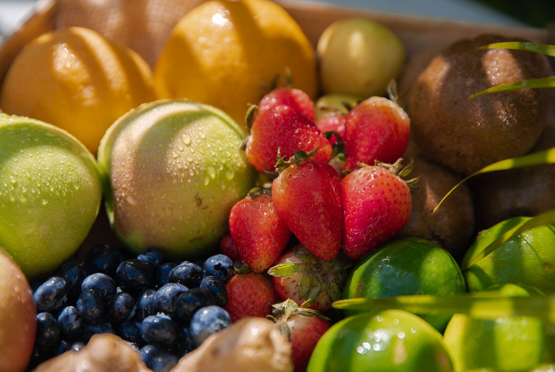 Fresh fruit including berries, citrus and kiwi