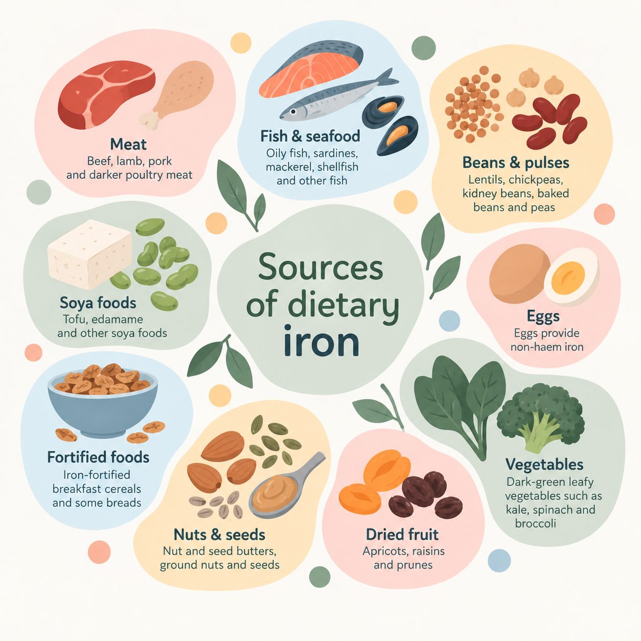 Sources of dietary iron: meat, fish and seafood, beans and pulses, soya foods, eggs, fortified foods, nuts and seeds, dried fruit, and dark-green vegetables