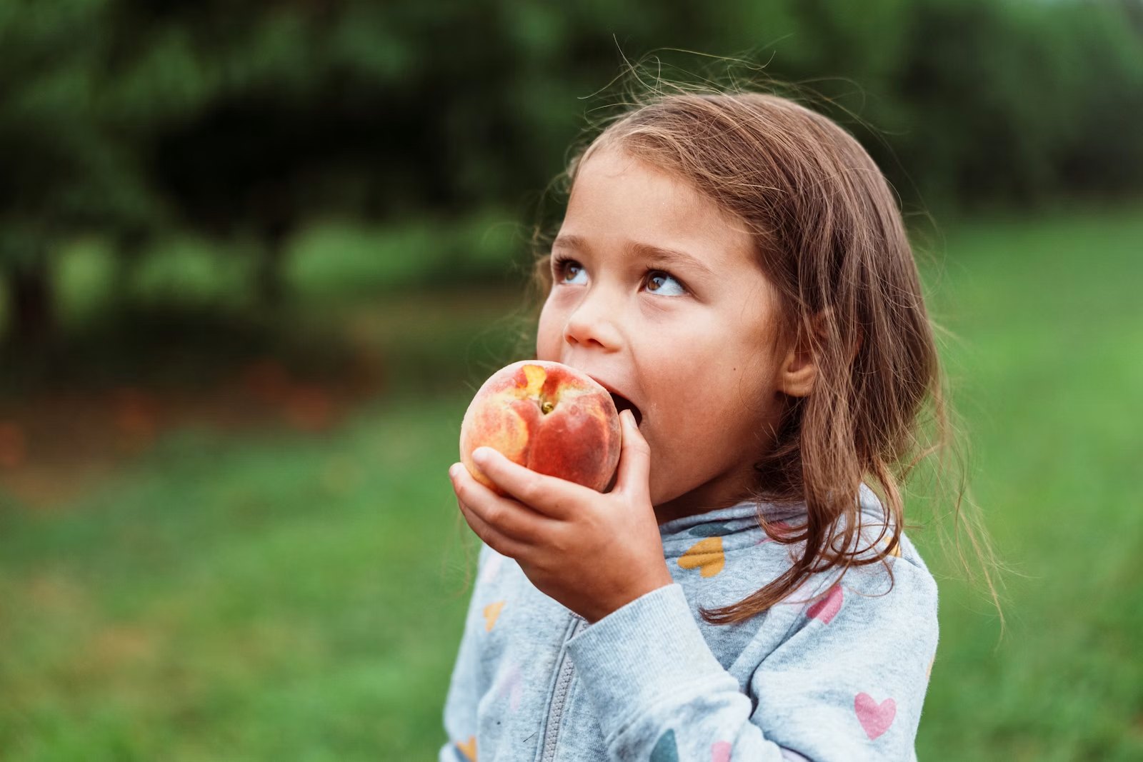 Therapy — child eating